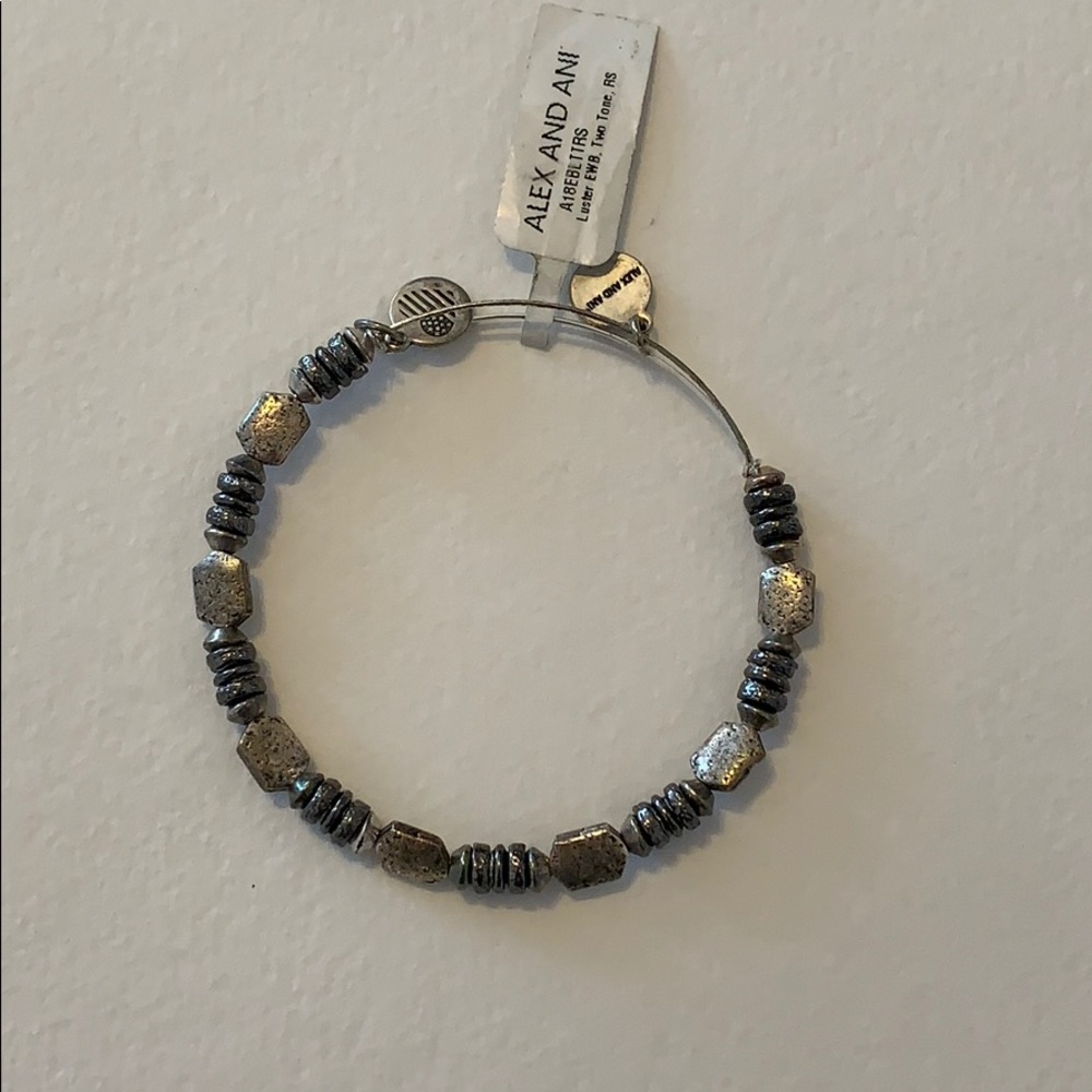 Alex and Ani Silver Luster Bangle
